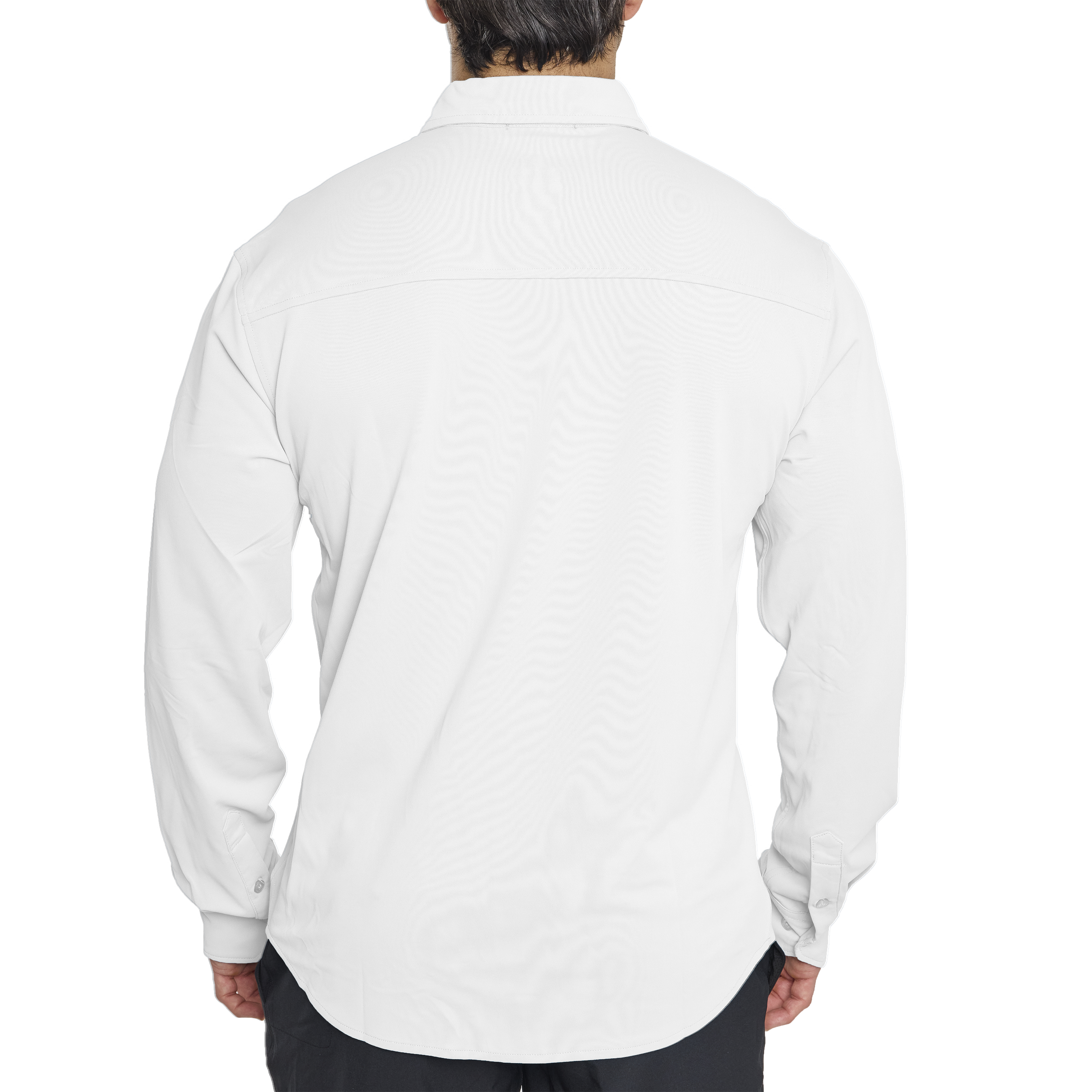 Arctic White