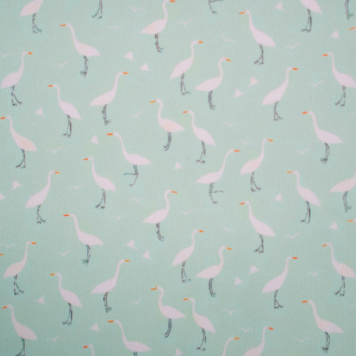Nauty Bird Print