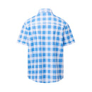 Blue Iced Gingham