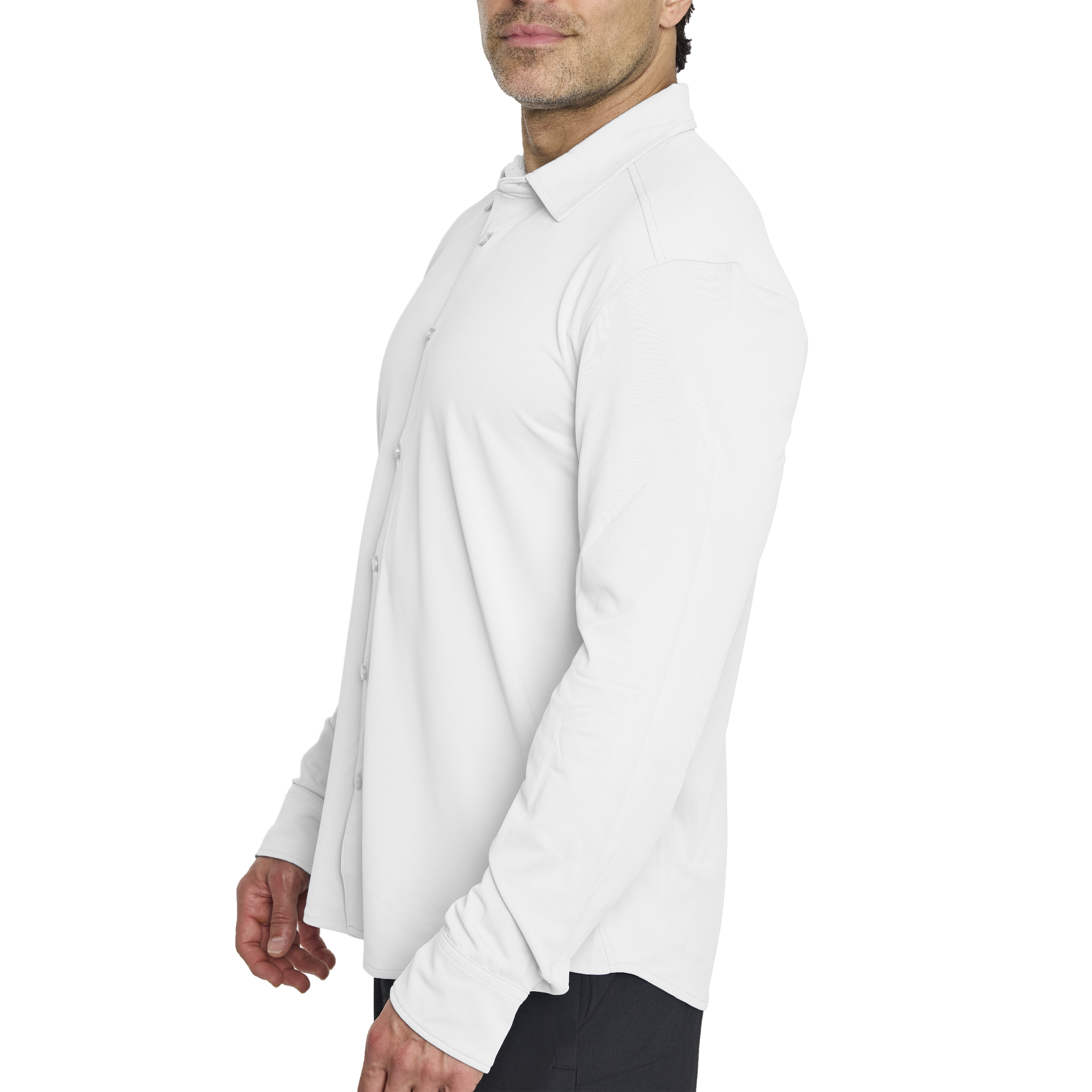 Arctic White