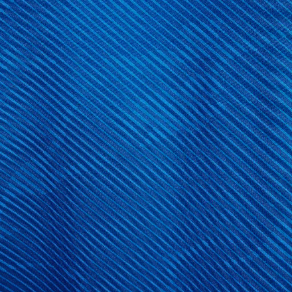 Polar Blue Print