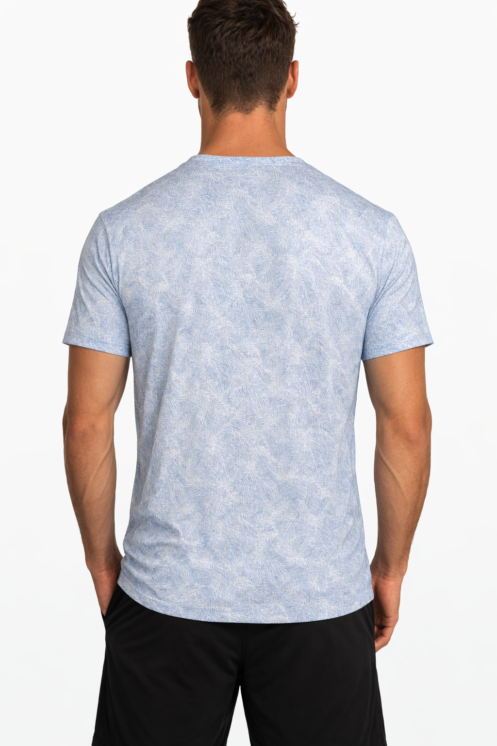 Blue Breeze Palm